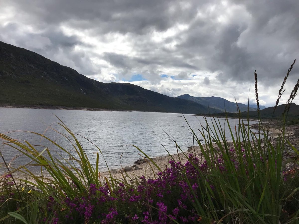 EMCastellan's tweet photo. Scotland, summer 2022 🏴󠁧󠁢󠁳󠁣󠁴󠁿 https://t.co/G0mQY1c4UU