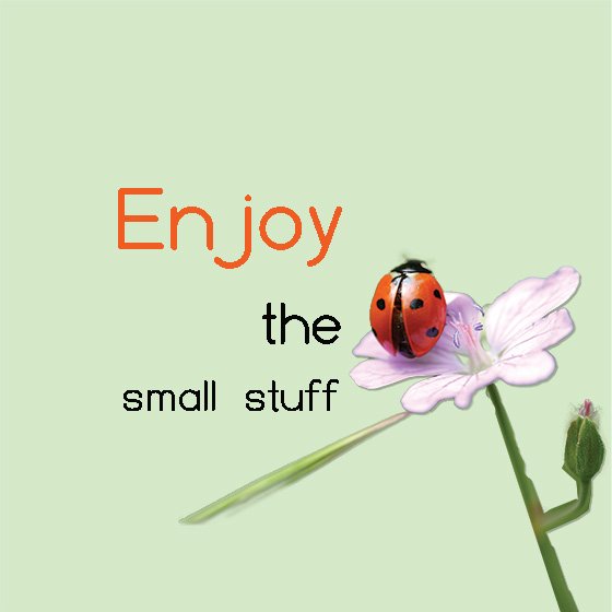 Thought to Design tweet media
