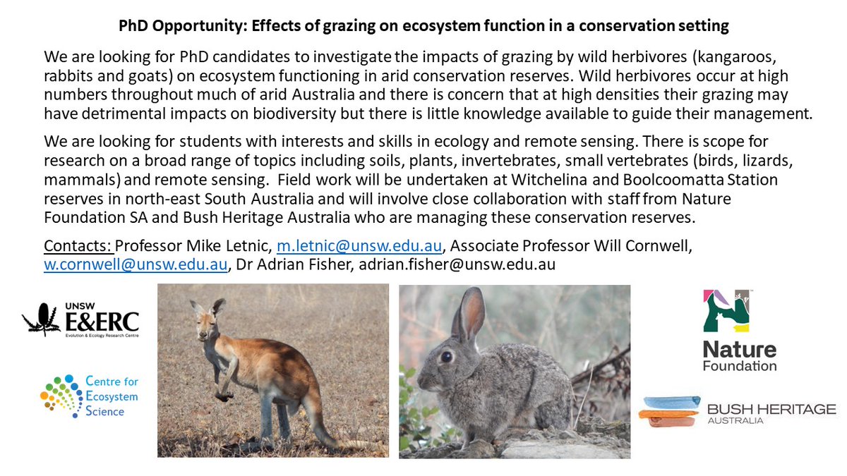 mikeletnic's tweet photo. PhD Opportunity: We are looking for students with interests and skills in ecology and remote sensing to investigate the impacts of grazing by wild herbivores on ecosystem functioning in arid conservation reserves. 
Contact: Professor Mike Letnic, m.letnic@unsw.edu.au https://t.co/tCgdZPrTJZ