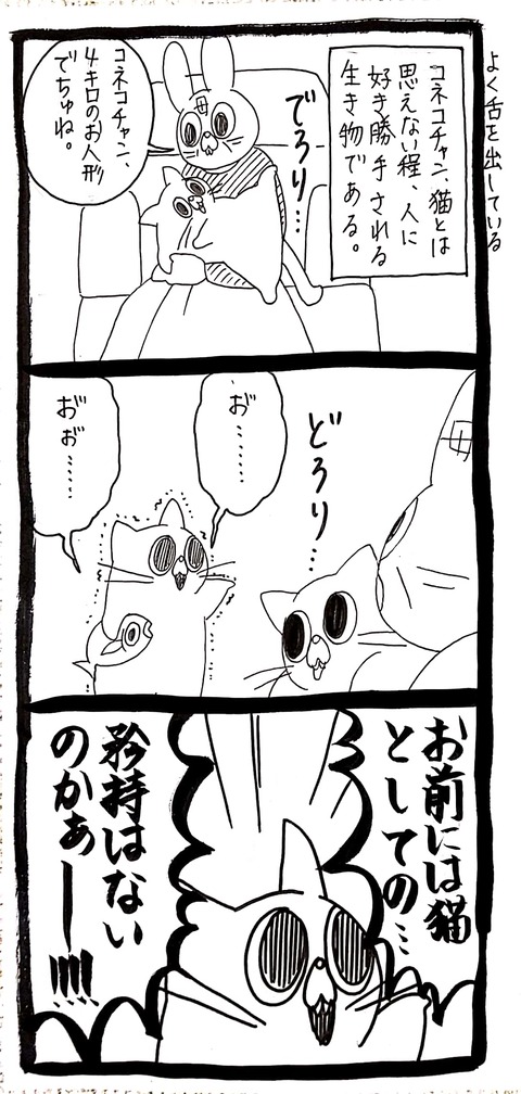 ほんとに猫か? 