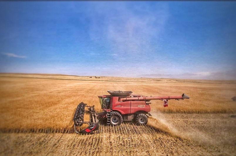 farms_monette's tweet photo. Together everyone achieves more! 🙌🏼 The Billings team continues to put in the hours to take off the crops at Camp 4 🌾 🇺🇸 While the Box Elder team travels North to help the Canadian farms with Harvest! 🇨🇦 
#monettefarms #farming #agriculture #aglife #agvocate #harvest22 #teamwork https://t.co/yJOiZYFYoD