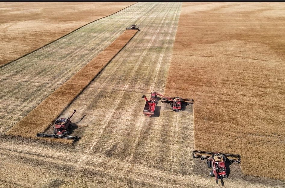Together everyone achieves more! 🙌🏼 The Billings team continues to put in the hours to take off the crops at Camp 4 🌾 🇺🇸 While the Box Elder team travels North to help the Canadian farms with Harvest! 🇨🇦 
#monettefarms #farming #agriculture #aglife #agvocate #harvest22 #teamwork