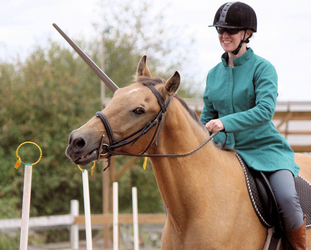 jmlandels's tweet photo. Last day to save on Carosella registration! - https://t.co/91mtBW0PHC
Register today and save $100 on a full pass.
#horsearchery #horsebackarchery #mountedcombat #HEMA #rossfechten #vaulting #workingequitation #sabre #medievalswordplay #armor #armoredcombat https://t.co/oIA1hevyxc