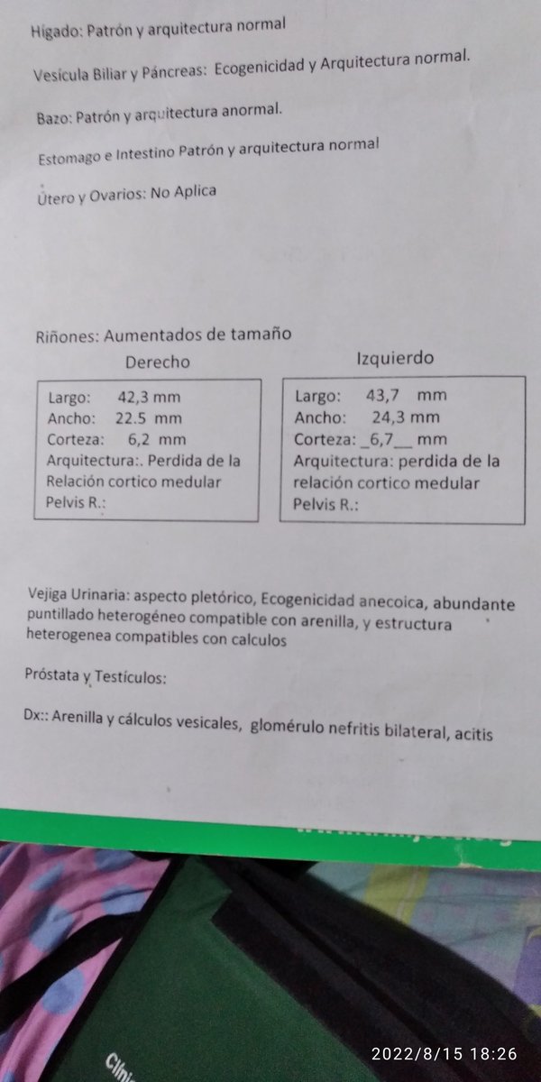 Daniel Morillo tweet media