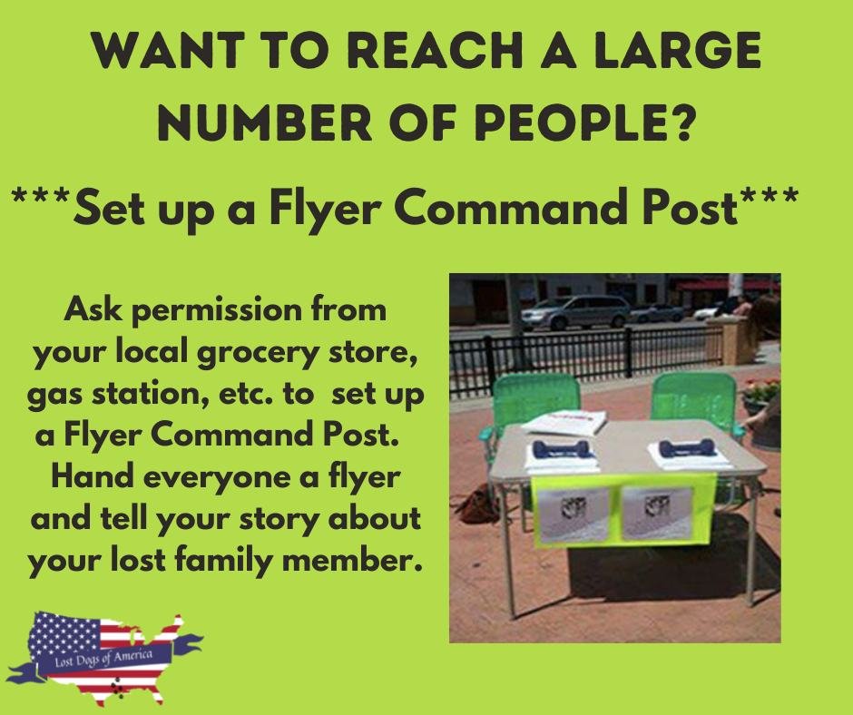 LostDogsIL's tweet photo. Set up a Flyer Command Posst! https://t.co/dxr5XzbYwH