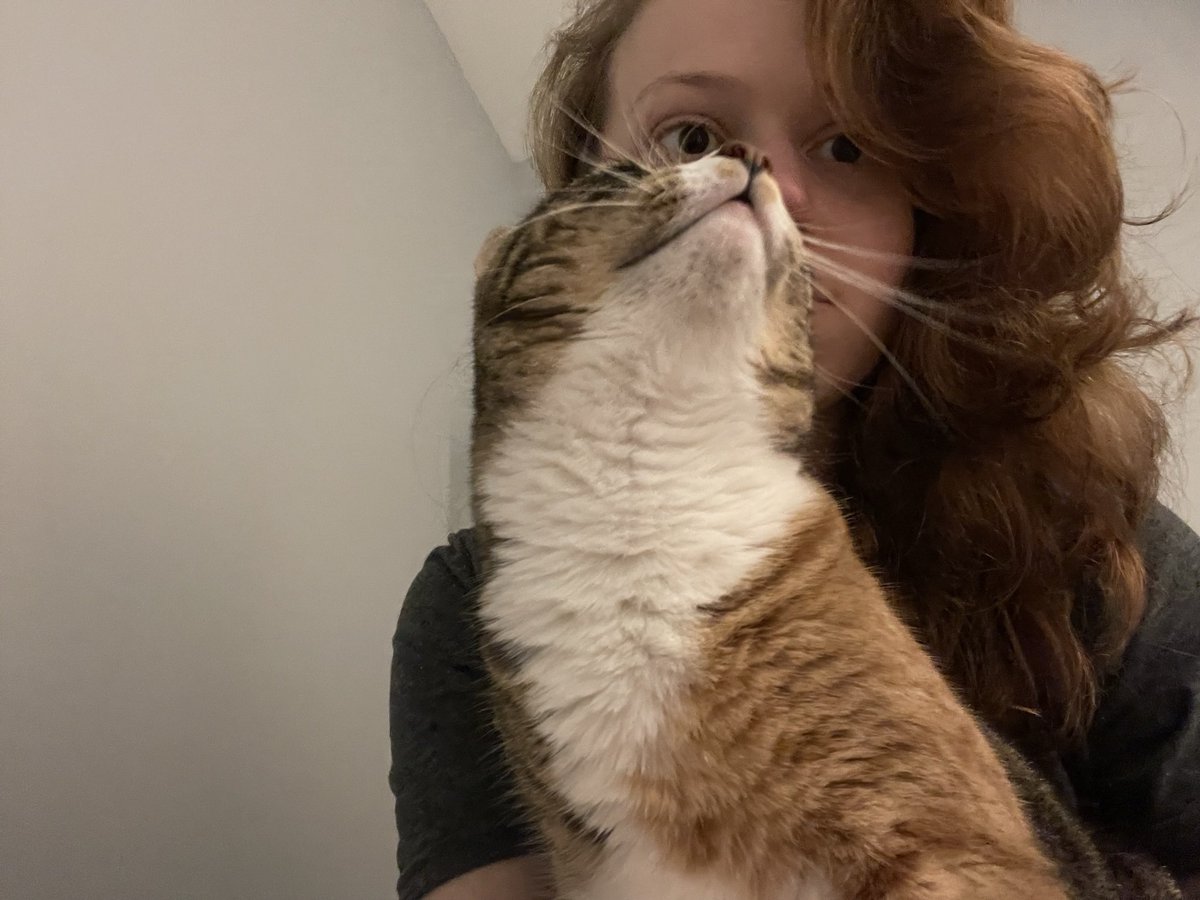 goodwillguru's tweet photo. My cat will only jump on my lap to snuggle when I’m on the toilet https://t.co/8bURBIBJPe
