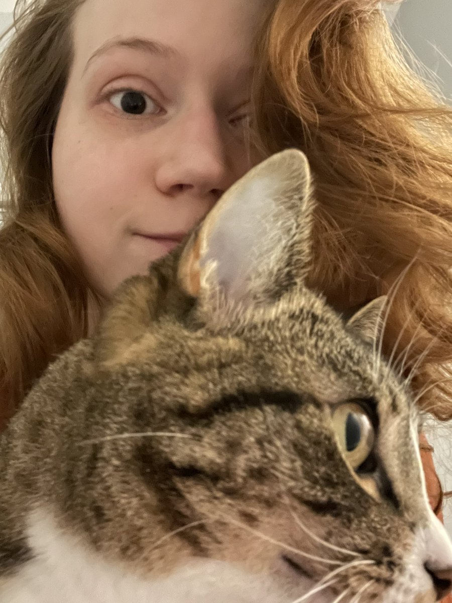goodwillguru's tweet photo. My cat will only jump on my lap to snuggle when I’m on the toilet https://t.co/8bURBIBJPe
