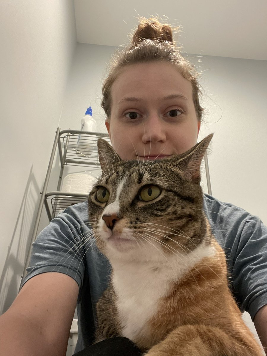 goodwillguru's tweet photo. My cat will only jump on my lap to snuggle when I’m on the toilet https://t.co/8bURBIBJPe