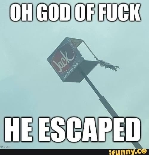 INDEFINITE HIATUS (@sallymaythebea) on Twitter photo 