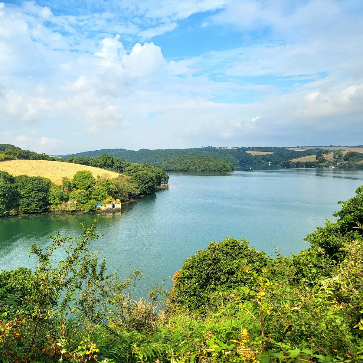 deepa_sena's tweet photo. 14 years ago a friend & I hiked 7 miles around Helford but missed the turn to Frenchman's Creek - a place I wanted to visit ever since I'd read Daphne DuMaurier's book of the same name as a teen. Today I finally made it there - can you tell how happy it makes me? π #booktrips https://t.co/Cg8kYR2uUj