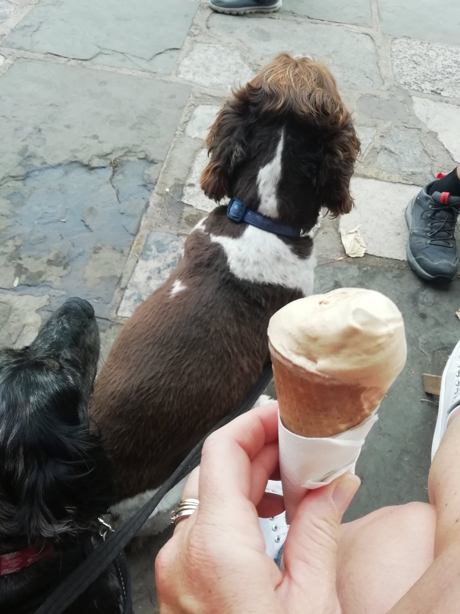 BispKaren's tweet photo. Wellbeing day for me today, thank you @OxfordHealthNHS  walk at a national trust estate, 
followed by a harbourside picnic and delicious ice-creams before heading home after a few days away #nursesactive https://t.co/GJUaD53ca5