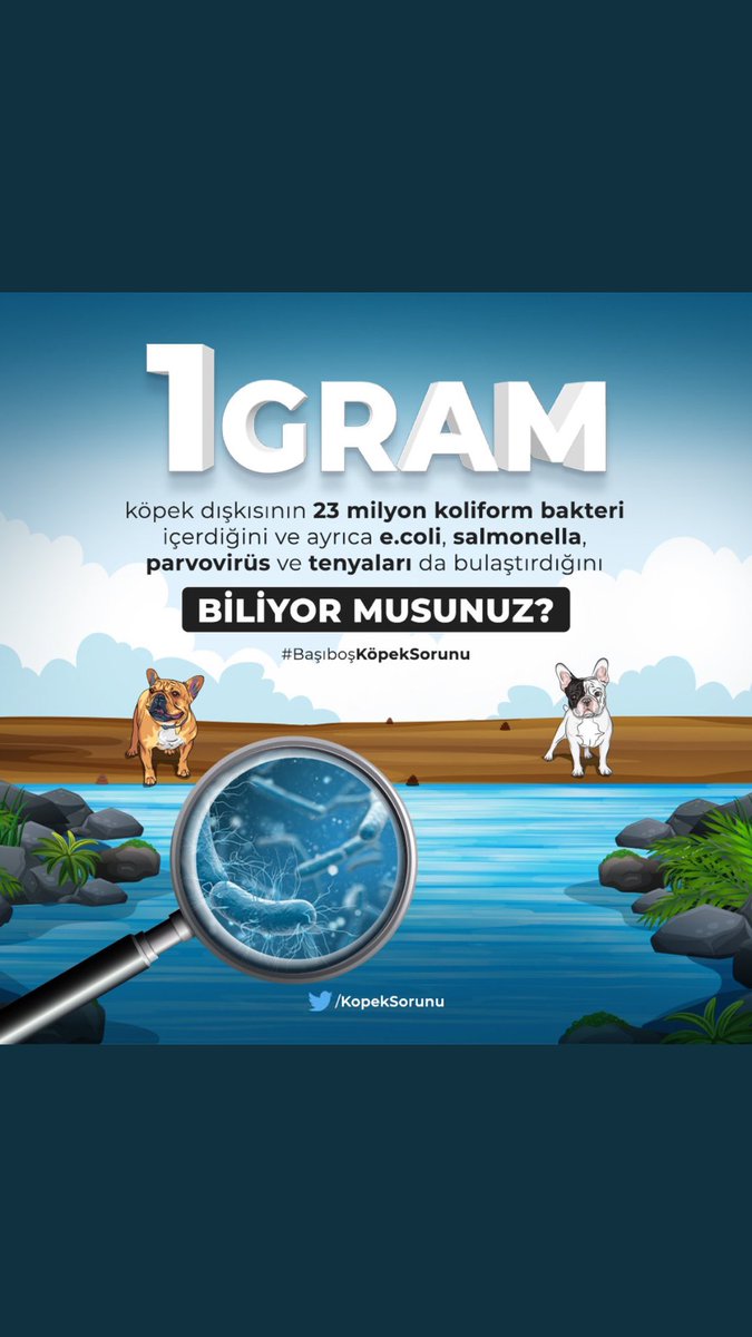 sağlık&hukuk (@sen_halil11) on Twitter photo Halkın sağlığı İçin #KöpekleriToplayın
#KoepekleriUyutun <a href="/iletisim/">T.C. İletişim Başkanlığı</a> <a href="/mkulunk/">Metin KÜLÜNK</a> <a href="/MetinKiratli01/">Metin Kıratlı</a> <a href="/06melihgokcek/">İbrahim Melih Gökçek</a> <a href="/serapyahsiyasar/">Av. Serap YAŞAR</a> <a href="/apolatduzgun/">Prof. Dr. Arife Polat Düzgün🇹🇷</a> <a href="/herkesicinCHP/">CHP 🇹🇷</a> <a href="/iyiparti/">İYİ Parti</a> <a href="/sagligadeva/">DEVA Partisi Sağlık Politikaları Başkanlığı</a> <a href="/GelecekPartiTR/">Gelecek Partisi</a> <a href="/naci_agbal/">Naci AĞBAL</a> <a href="/EYekmekci/">yalçrn ekmekçi</a> <a href="/eturkdemir/">Ahmet Haki Türkdem r</a> <a href="/asaydam/">Ali Saydam</a> @AliEdizer2 <a href="/jahreindota/">Jahrein</a> <a href="/Akparti/">AK Parti</a> Halkın sağlığı İçin #KöpekleriToplayın
#KoepekleriUyutun <a href="/iletisim/">T.C. İletişim Başkanlığı</a> <a href="/mkulunk/">Metin KÜLÜNK</a> <a href="/MetinKiratli01/">Metin Kıratlı</a> <a href="/06melihgokcek/">İbrahim Melih Gökçek</a> <a href="/serapyahsiyasar/">Av. Serap YAŞAR</a> <a href="/apolatduzgun/">Prof. Dr. Arife Polat Düzgün🇹🇷</a> <a href="/herkesicinCHP/">CHP 🇹🇷</a> <a href="/iyiparti/">İYİ Parti</a> <a href="/sagligadeva/">DEVA Partisi Sağlık Politikaları Başkanlığı</a> <a href="/GelecekPartiTR/">Gelecek Partisi</a> <a href="/naci_agbal/">Naci AĞBAL</a> <a href="/EYekmekci/">yalçrn ekmekçi</a> <a href="/eturkdemir/">Ahmet Haki Türkdem r</a> <a href="/asaydam/">Ali Saydam</a> @AliEdizer2 <a href="/jahreindota/">Jahrein</a> <a href="/Akparti/">AK Parti</a>