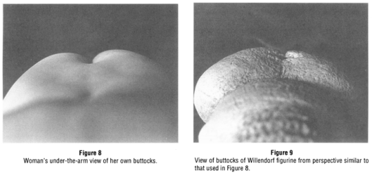 ancient paleolithic venus statues were likely made by women who were examining their own bodies and sculpting them from their own first person POV, rather than, as previously assumed, exaggerated features from an outside perspective.