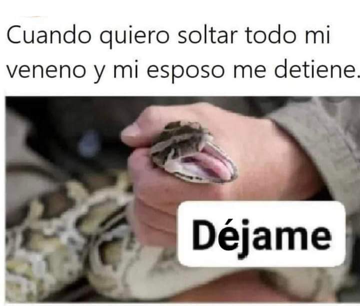 😅😂😂