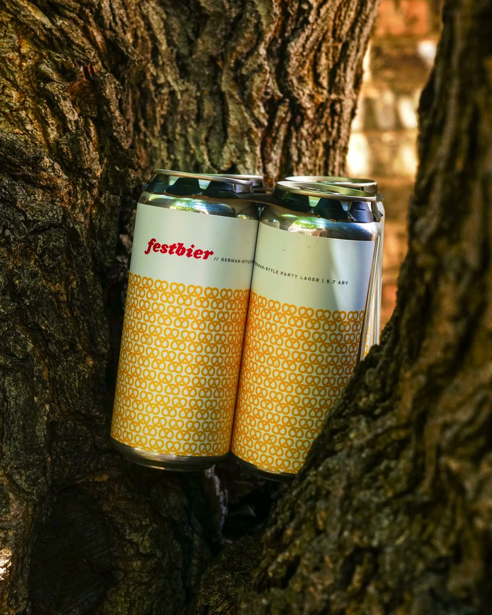 FairStateBeer's tweet photo. German party beer! #Festbier is crisp, bready, malty, nuanced but crushable... and definitely built for consumption by the liter. This annual favorite is now available at the taproom and in stores. → https://t.co/Whs11LQRd7 #mncraftbeer #fairstate https://t.co/gBfTHKdOMb