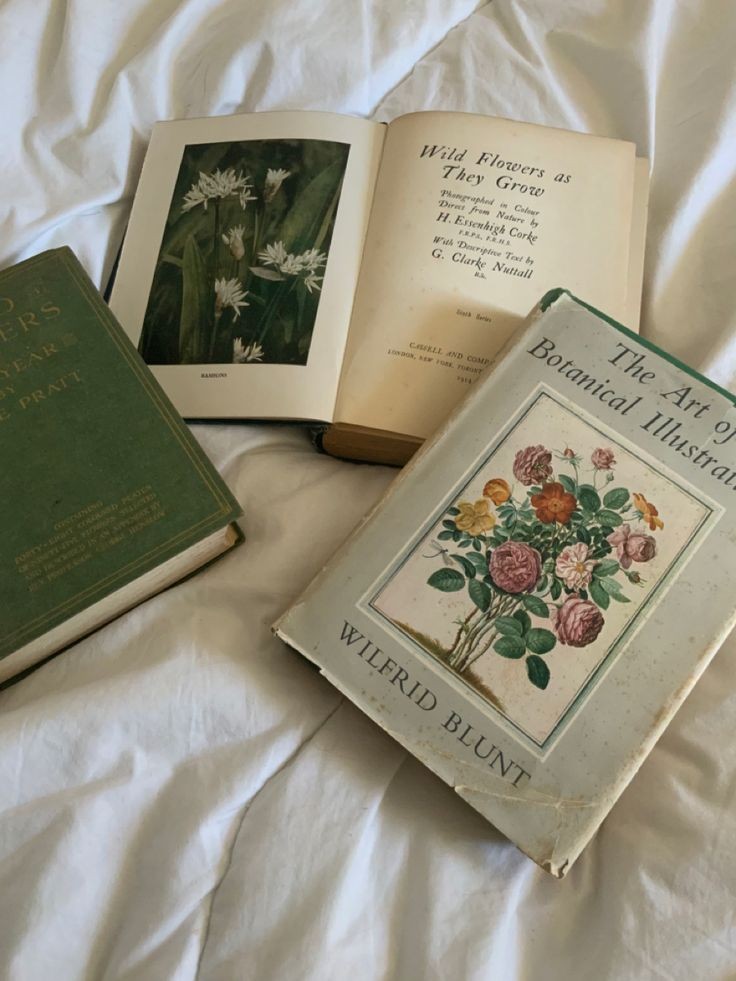 softdeIicacy's tweet photo. botanical books; so beautiful. https://t.co/a9rNOjt2OJ