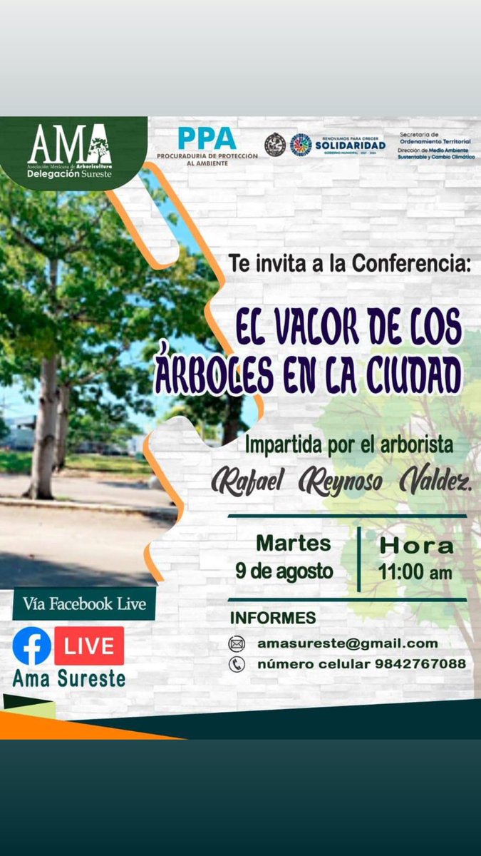 AmaSureste tweet media