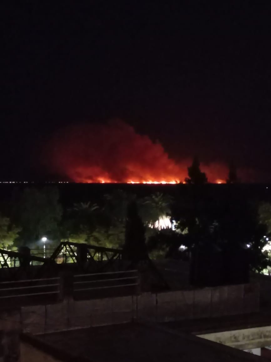 RHounau's tweet photo. @lucasllach Esto es ahora frente a Rosario Lucas, (y desde de 15 años) https://t.co/CcqIVHvkCp