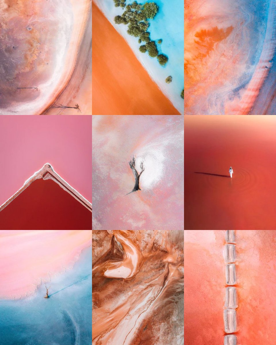 lolahubner_'s tweet photo. The many colours of Western Australia ✨ Gm! https://t.co/fMp1maMCZr