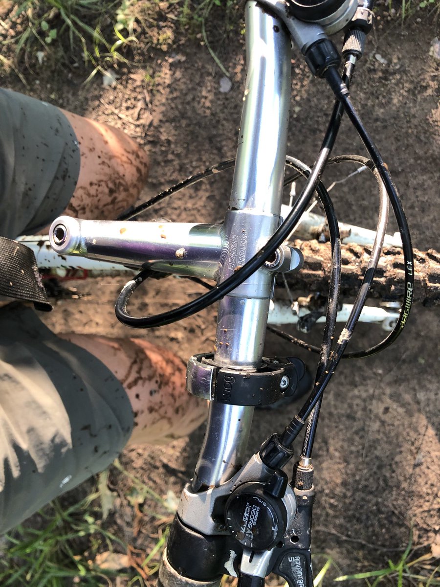 Biked through a swamp