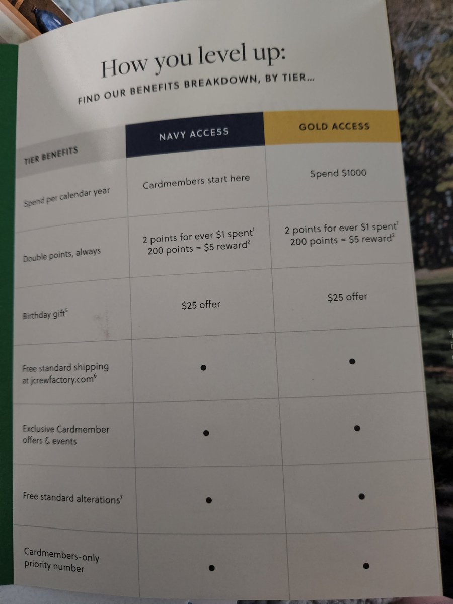 Bianca🐼🐧 tweet media