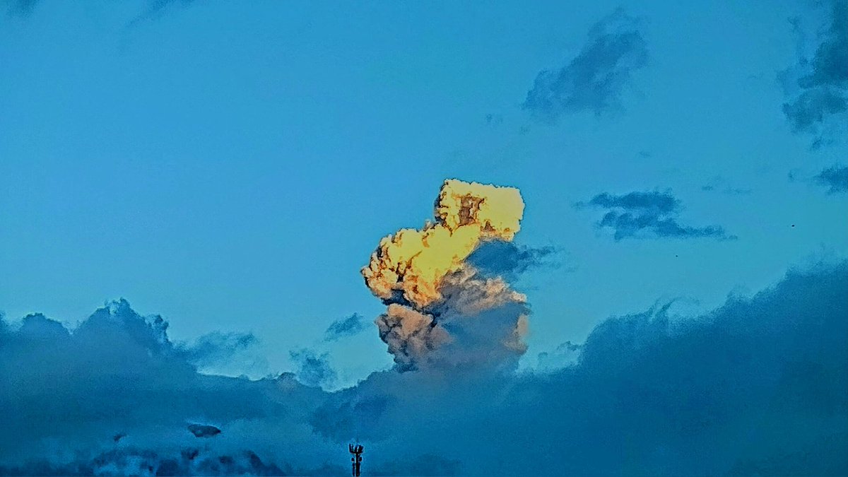 Charlyz 🦇 tweet media