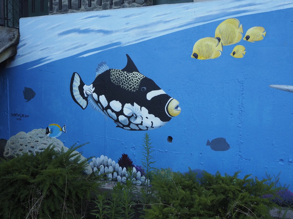 Marine life from the Art of Life mural by Charles C. Clear III and Bonnie Lee Turner at the World War II Veterans Memorial Park splash pad in Woonsocket.