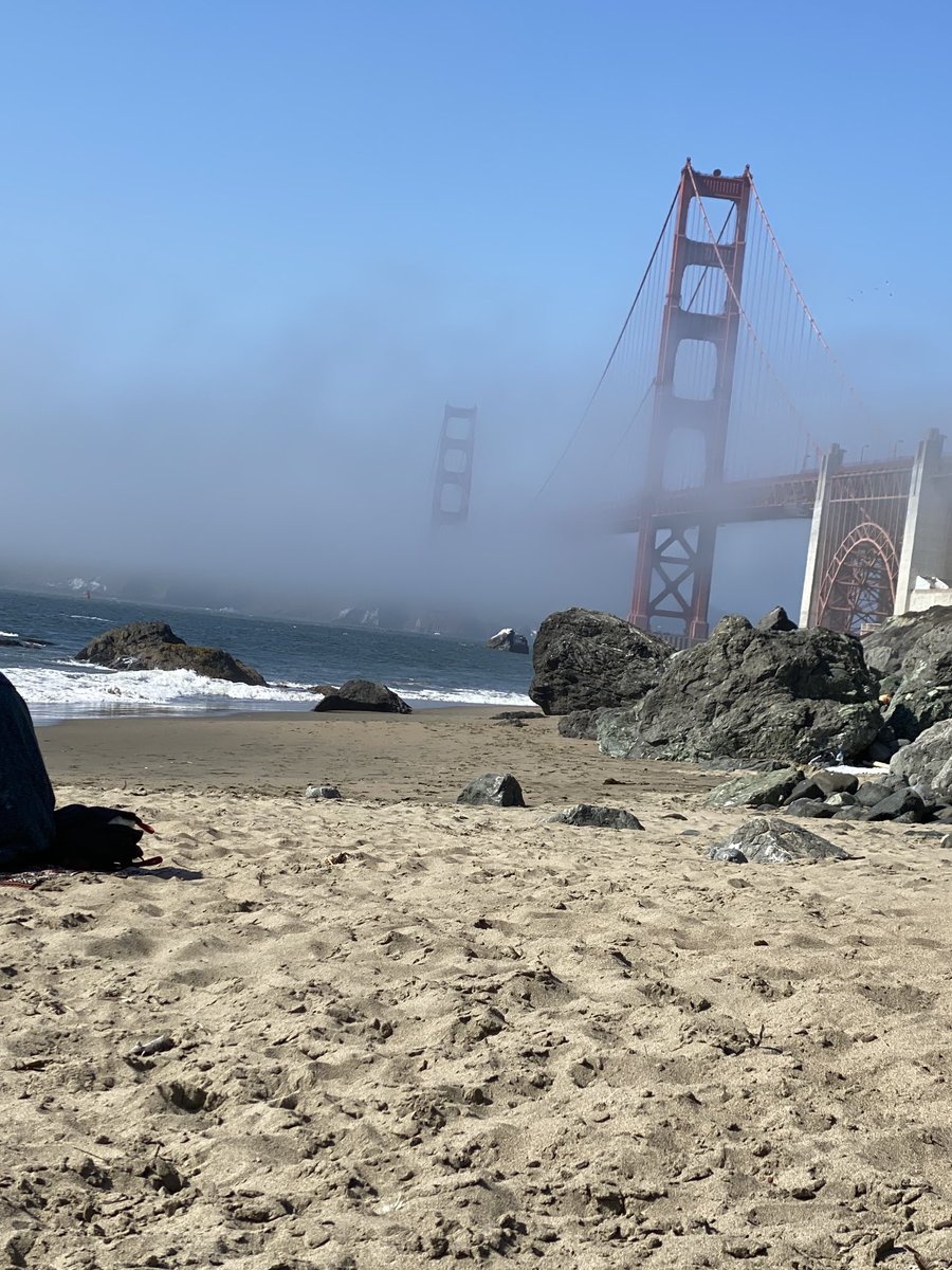 AdDc97706302's tweet photo. Beach day!! https://t.co/lBVh7V2Pp6
