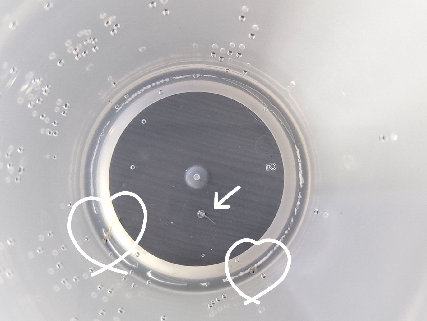 See Saori Know28 S Tweet Twitter