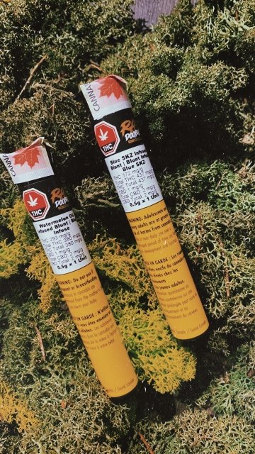 😲 So much THC, the pic turned out blurry!

🔥Blue SKZ sitting at 43.7% THC and Watermelon OG sitting at 38.0% THC

Here 'til 10:30pm

#infused #infusedblunt #blunt  #reallyawesomedope #hamont #Hamilton #dundasontario #ancasterontario #retailcannabis #ontariocannabis #shoplocal