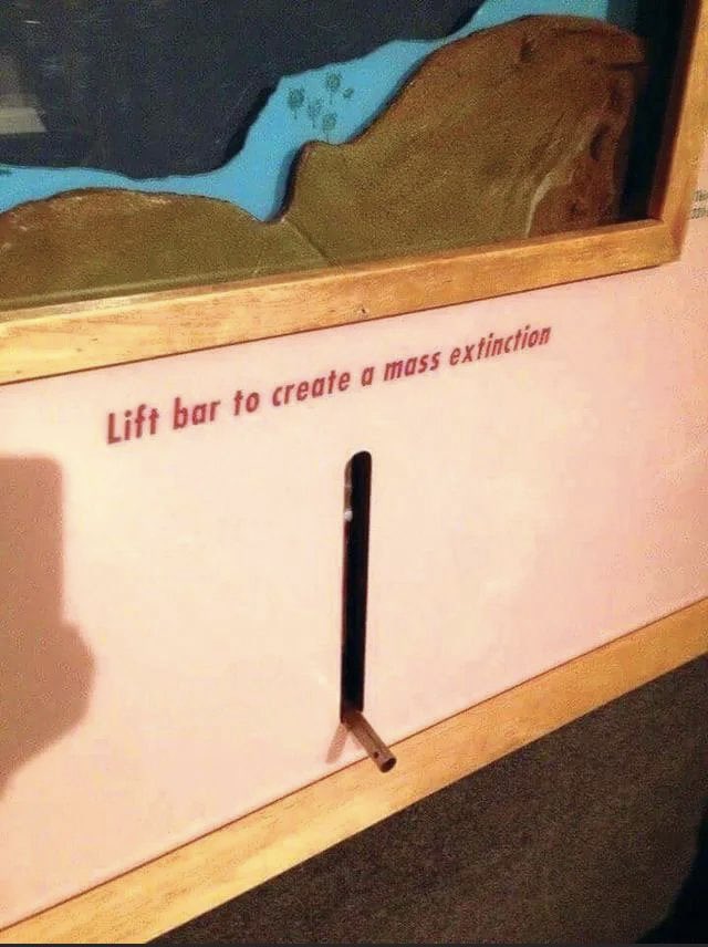 This is how Taylor Swift summons her private jet