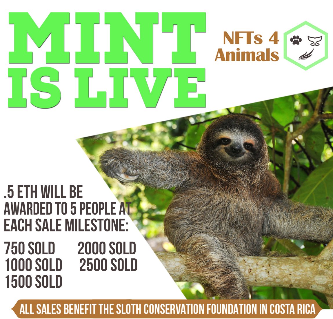Our <a href="/doodles/">doodles</a> collection will help Sloths in Costa Rica!

Only 0.02 ETH to MINT and tons of ways to earn ETH back!! 

#nfts #NFTCommunity #nftart
