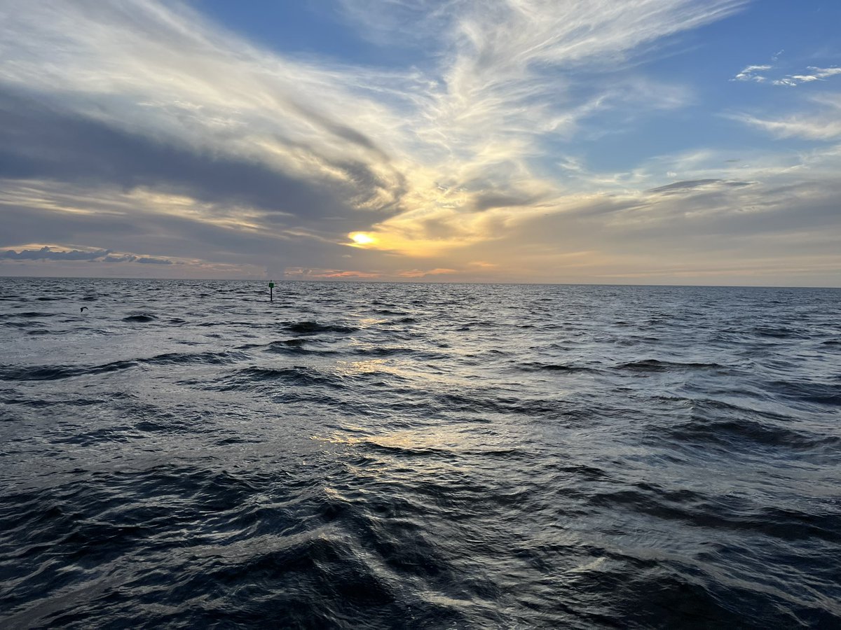 TreesAreCool12's tweet photo. Sunset in the Gulf of Mexico #gopurefl https://t.co/jndAm7xuZp
