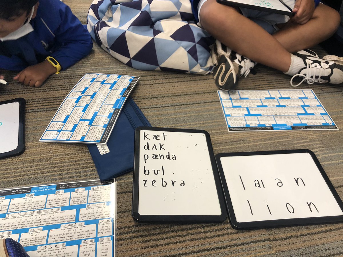 Learning IPA requires #perseverance and #teamwork. Our #THRASS word inquiry challenge today was to try and learn some animal names 🐱🦆🐼🦁🐊 The boys made some great connections between IPA and English. @SPSC_Adelaide <a href="/jasmineftaylor1/">Jasmine Taylor</a> <a href="/JGelsthorpe/">Jon Gelsthorpe</a>