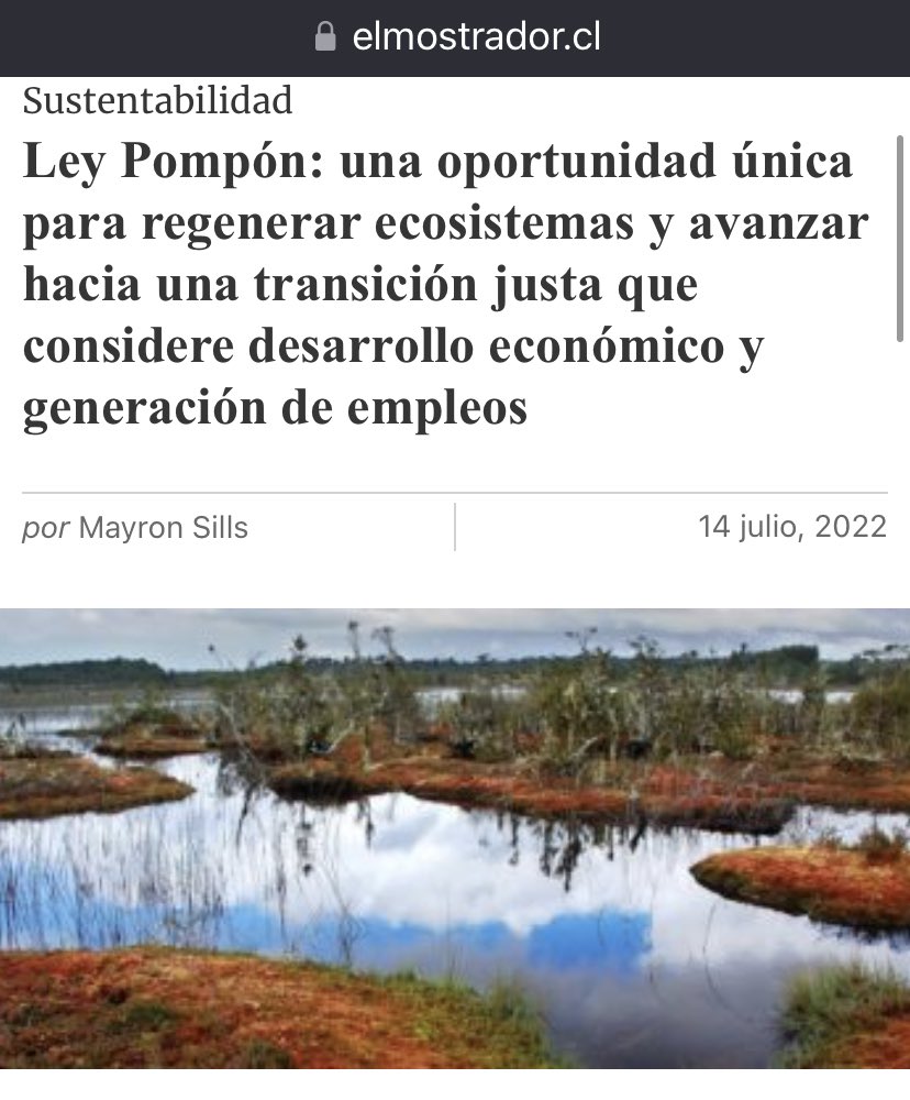 DefendamsChiloe's tweet photo. ✅Mañana desde las 12.30 hrs sigue la defensa de la PROHIBICIÓN de extracción de POMPON y turba en sesión de @Senado_Chile.
👉🏻¿sabías que existe un sustituto ecológico que permitiría una transición justa a quienes extraen?
@CarmenAravenaA1 @iallendebussi @adeurresti @SocialLabcl https://t.co/sOg6C89y3K