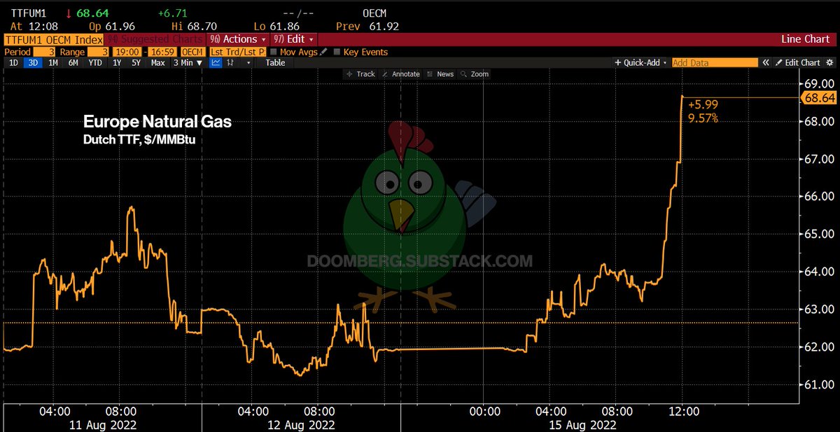 EU NattyCoin™️ mooning again