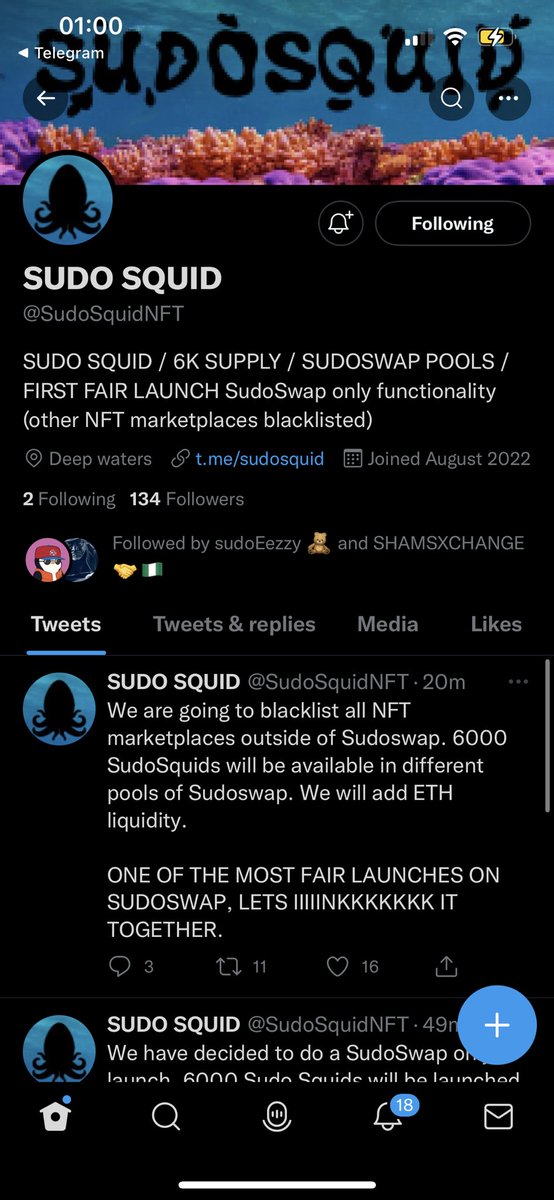 WLhustler's tweet photo. @SudoSquidNFT Early https://t.co/0OGc9qFP5I