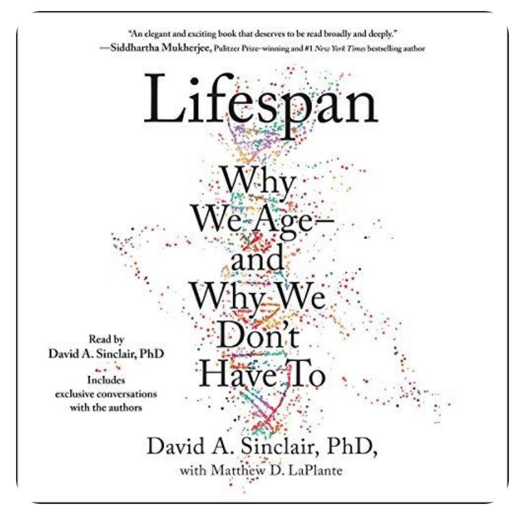 Phrase I heard today, “How can we expect our kids to tear down and replace the global patriarchy if they can’t practice on their fathers.”