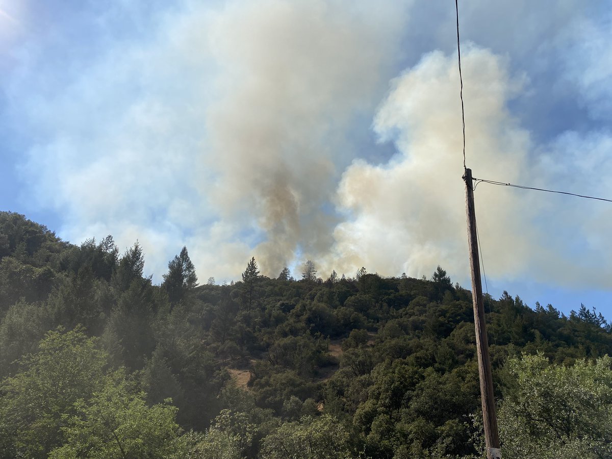 CALFIRENEU's tweet photo. #OakFire Live Oak Rd. off Yankee Jim’s Road near Colfax. Fire is approximately 15 acres 0% contained. Multiple aircraft over the fire making good progress.￼ https://t.co/2sTa0Zx2Yt