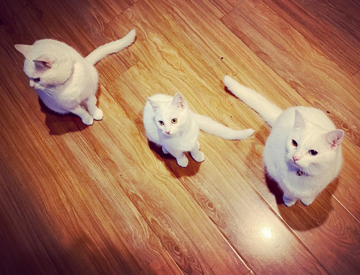 Copy - paste