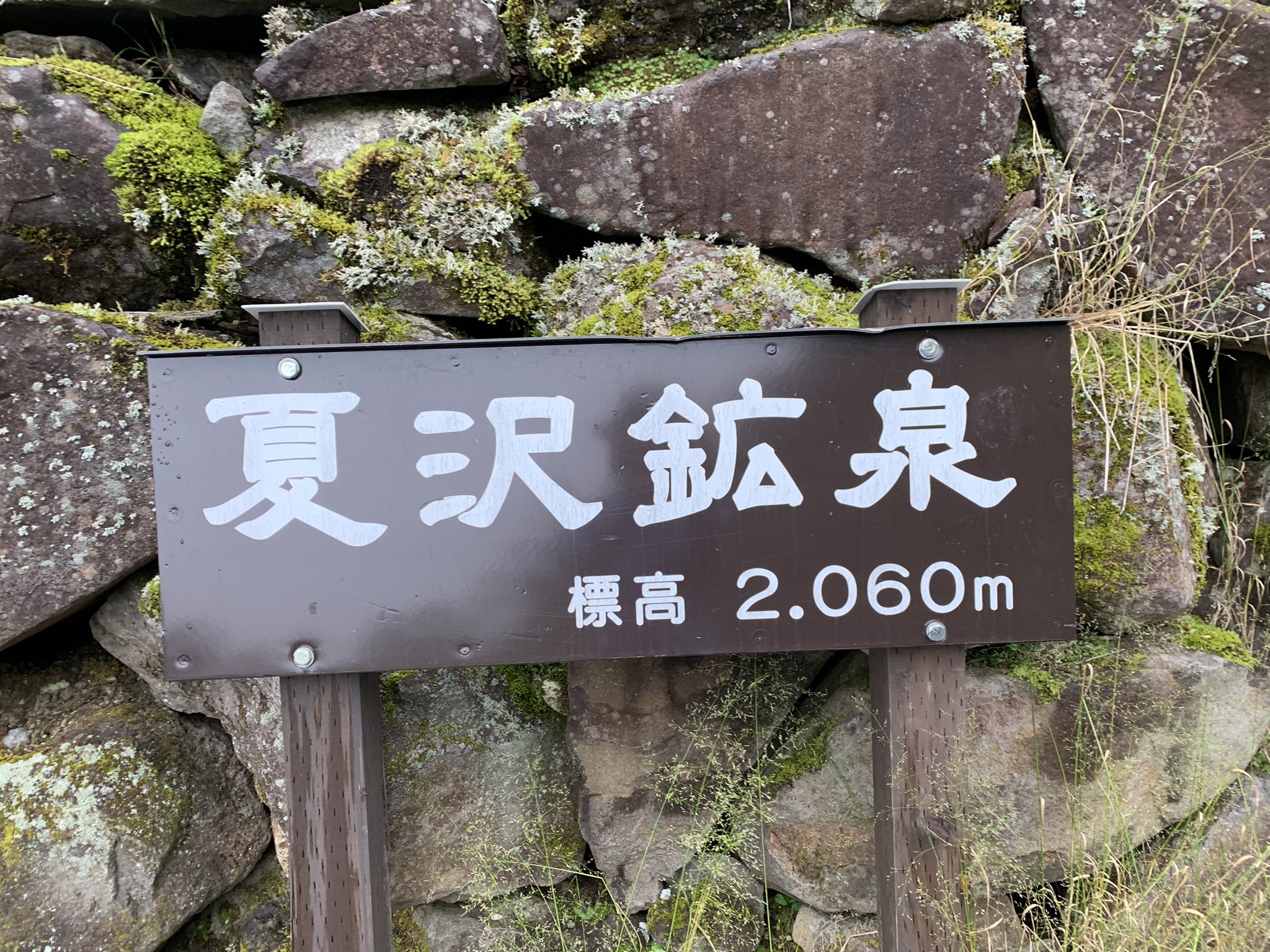 T Taka Takanoritsuyuki Twitter