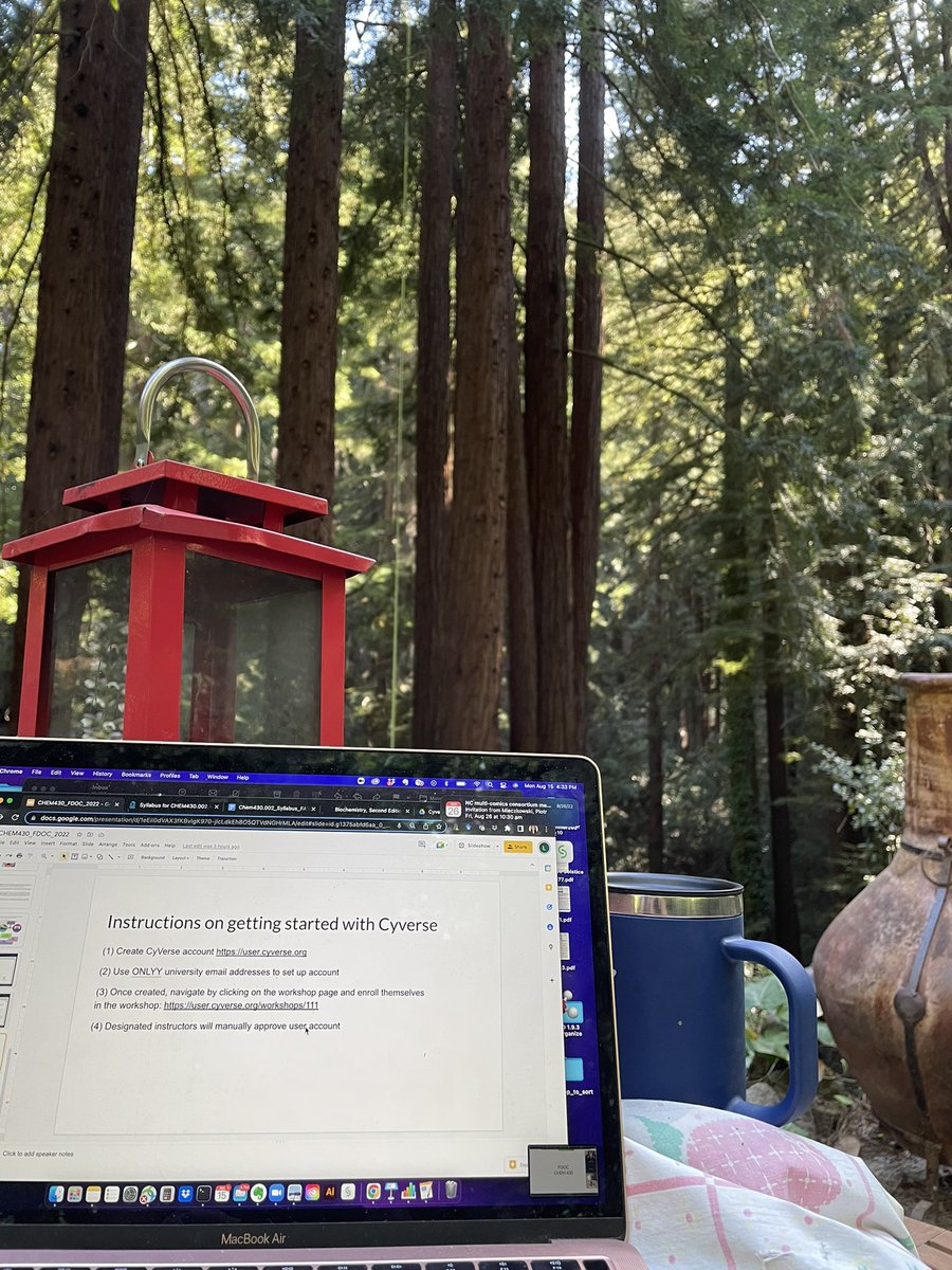 #whereImWorking #redwoods #grants #newPI