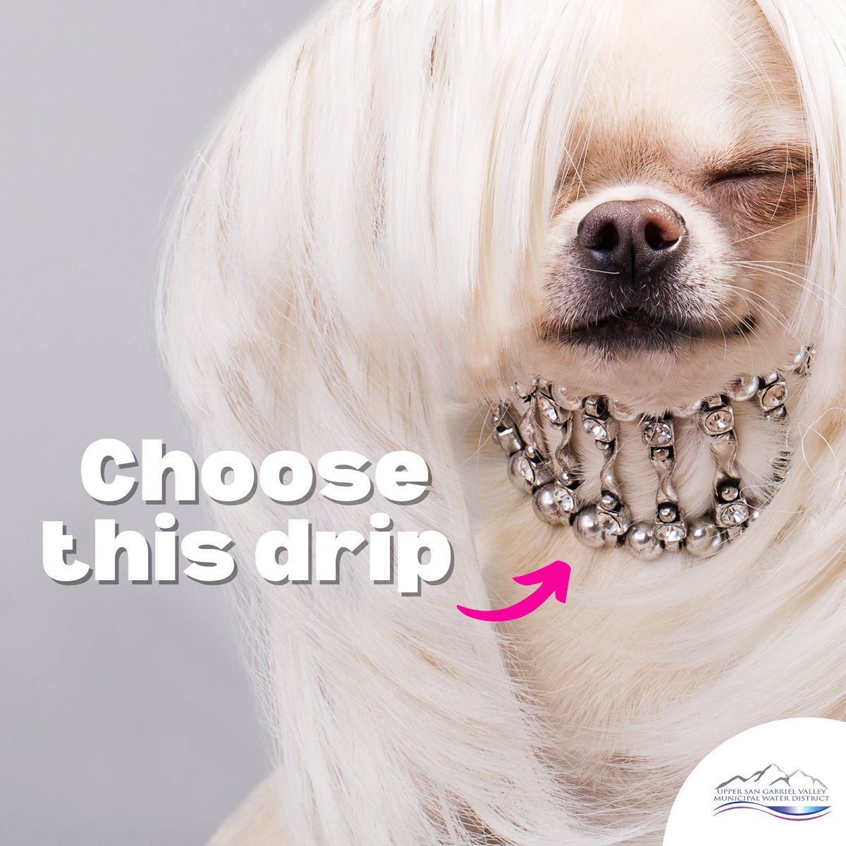 upperwatersgv's tweet photo. #WhenInDrought check your home for both big & small leaks on a regular basis. Even small drips can add up to large amounts of water, so #BeaLeakDetective once a month. Purchase WaterSense labelled products when replacing devices. #epawatersense https://t.co/06yBkk4xZJ