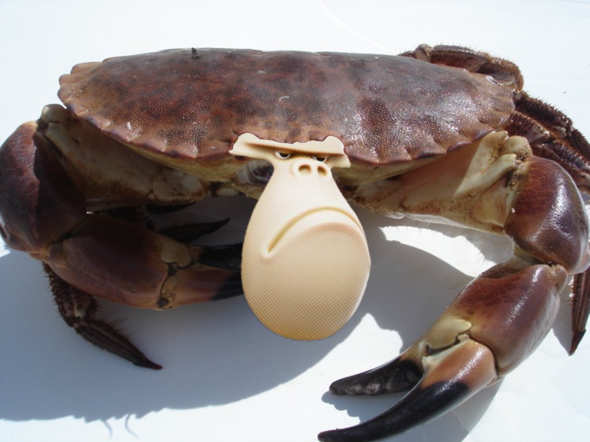 <a href="/BuIlMarket/">Bull Market Exec</a> Gib crabs