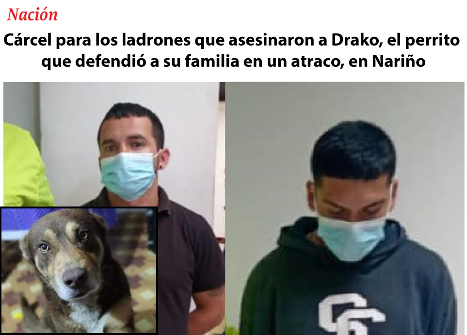 PlataformaALTO's tweet photo. Cárcel para los criminales que asesinaron con un cuchillo a Drako, un perrito que defendió a su familia en medio de un atraco, en Nariño. 
Tendrán que responder por los delitos de hurto calificado, y maltrato animal agravado @FiscaliaCol ✊ https://t.co/ox6jzsZgcJ