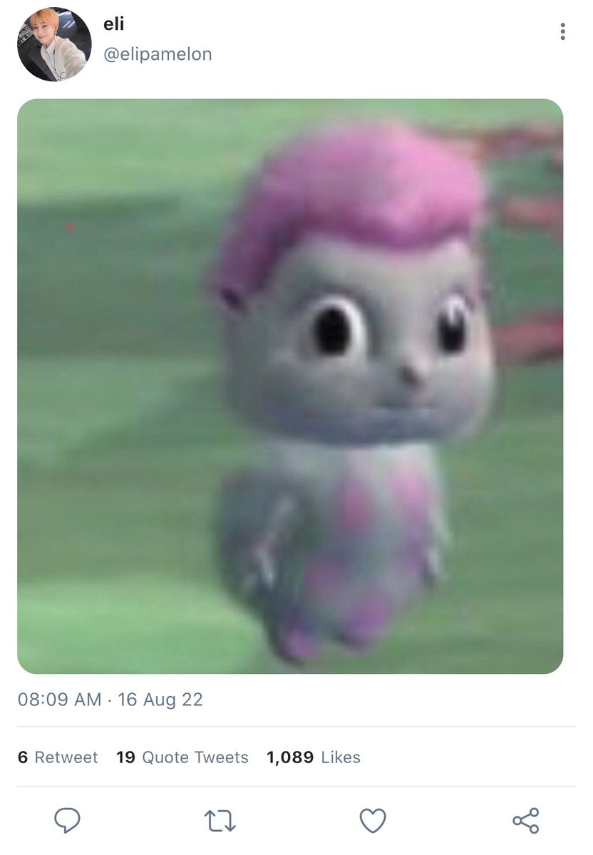 sunscribls tweet picture