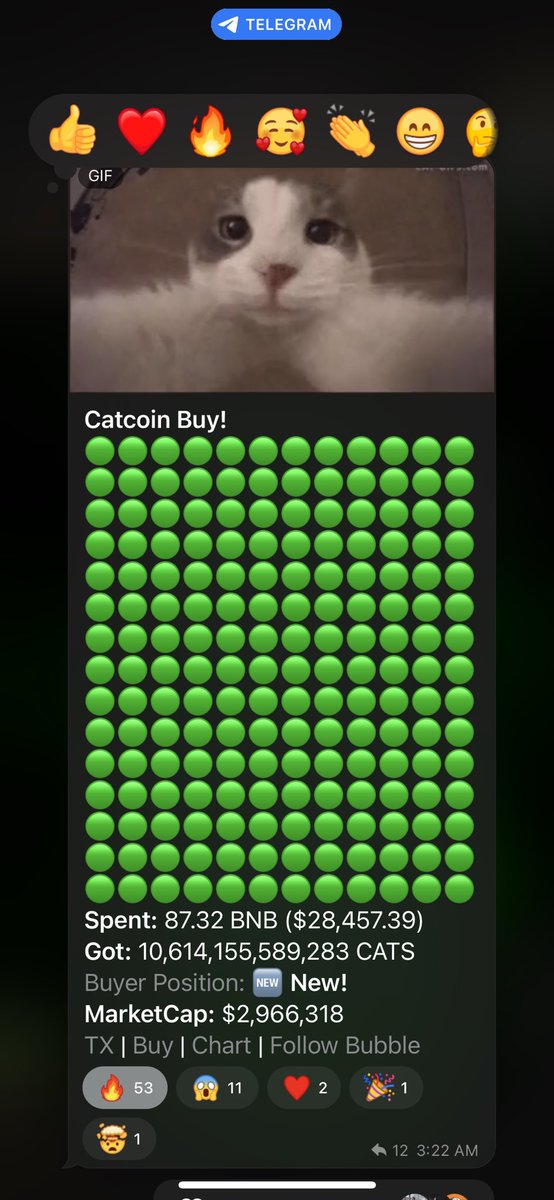 tylercrypto21's tweet photo. @kingflokiaire @davidgokhshtein #catcoin will change the game! https://t.co/WOQaKu5phM