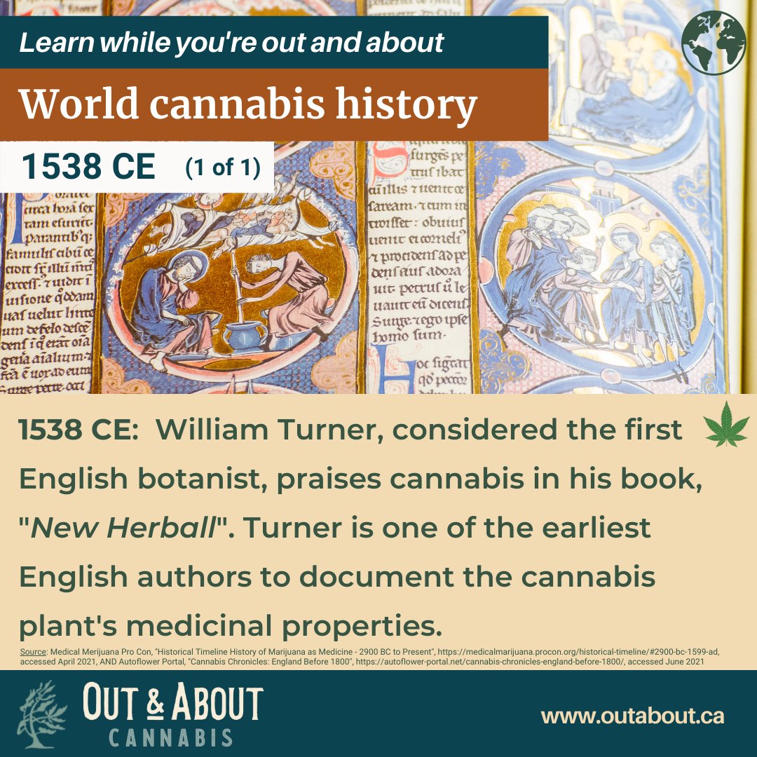 outaboutca's tweet photo. 1538 CE: authors begin documenting medicinal benefits...

#ilovegettingoutandabout #outaboutca #riversidesouth #ottawa #myottawa #ottawalife #ottcity #ottawaontario #ottawaliving #barrhaven #ottawacanada #ottawacity #613ottawa #ottawastoners #613stoners #ottawainsider #ottawa420 https://t.co/mIIp0MJYEu