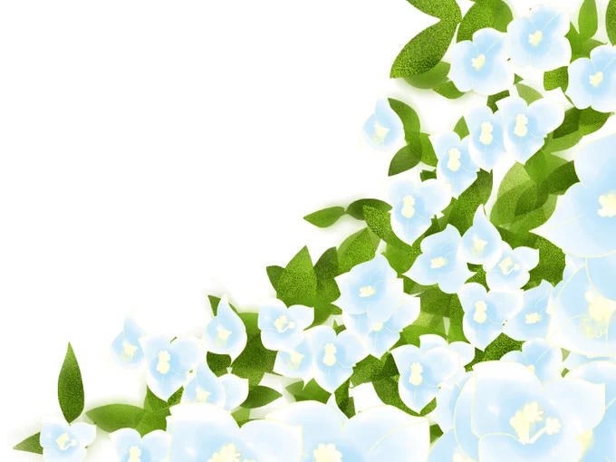 紙細工のようなきれいな花弁です 