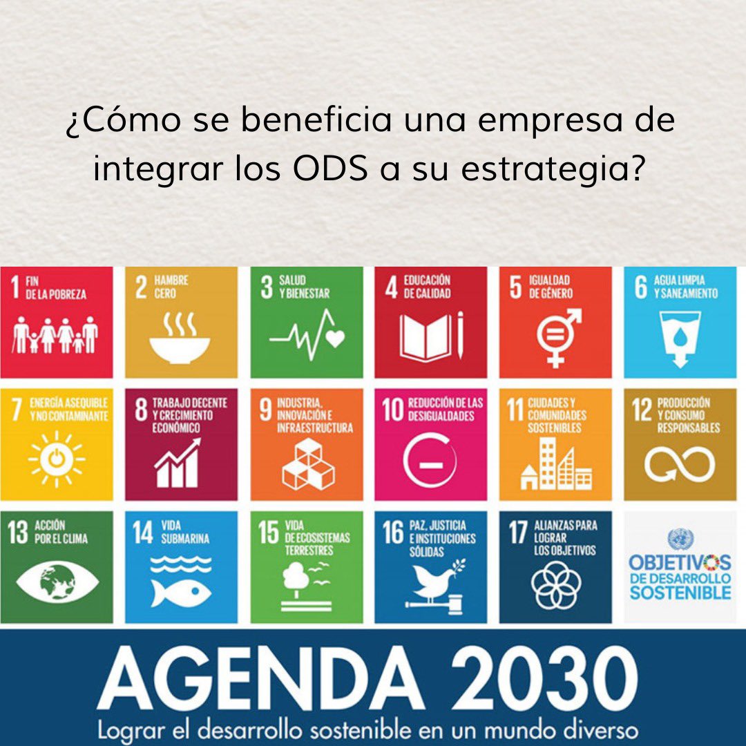 RedIbx's tweet photo. ¿Cómo se beneficia una empresa de integrar los ODS a su estrategia?

Sin dudas al igual que el desarrollo sostenible, los ODS son un tema que está en agenda.♻️

Te invitamos a conocer más en nuestro sitio web. https://t.co/6fUP53cHVj 

#redibx https://t.co/gKtn3Gm9dJ
